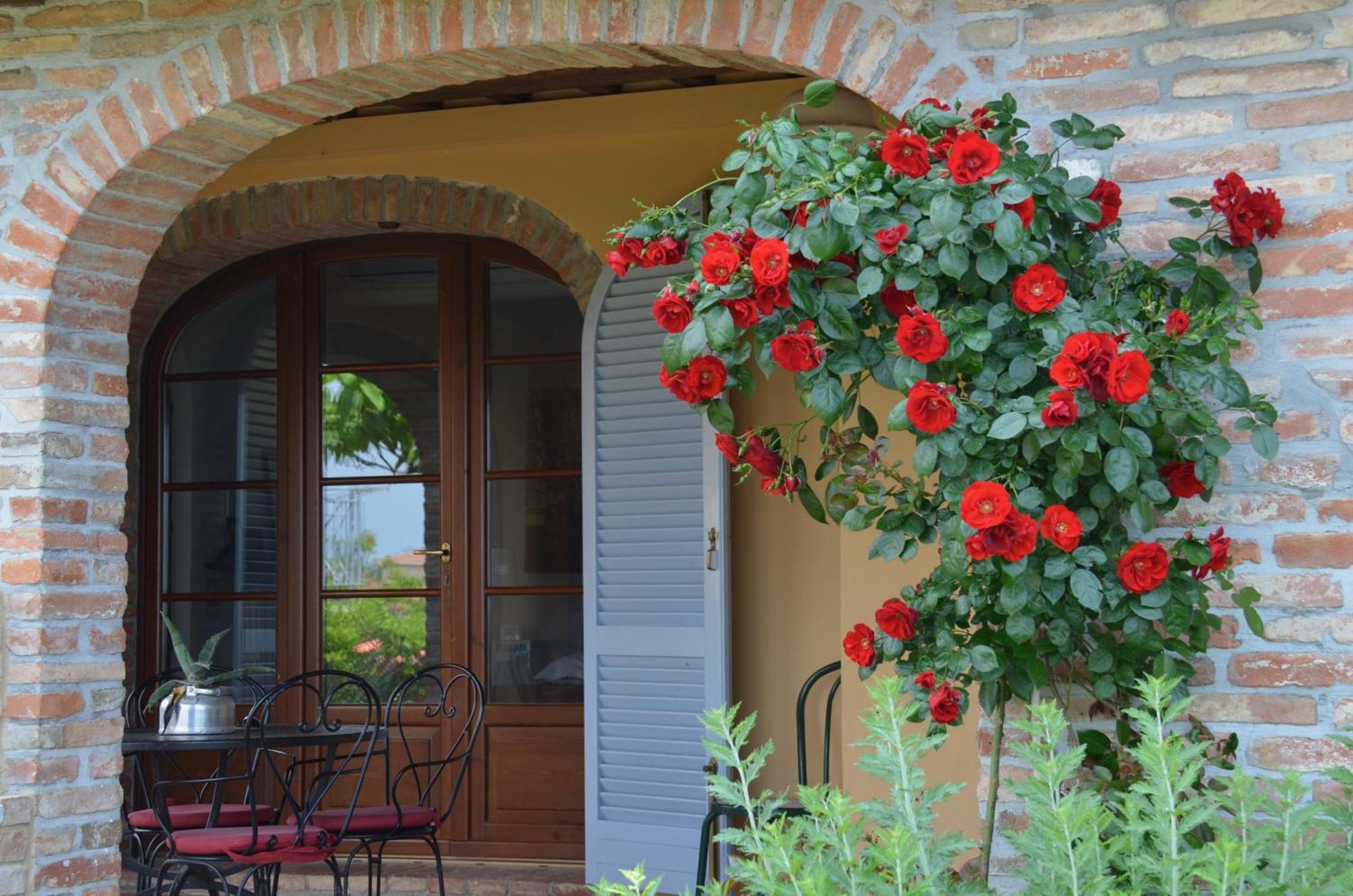 Apartamento Casa Magnolia Terricciola Exterior foto