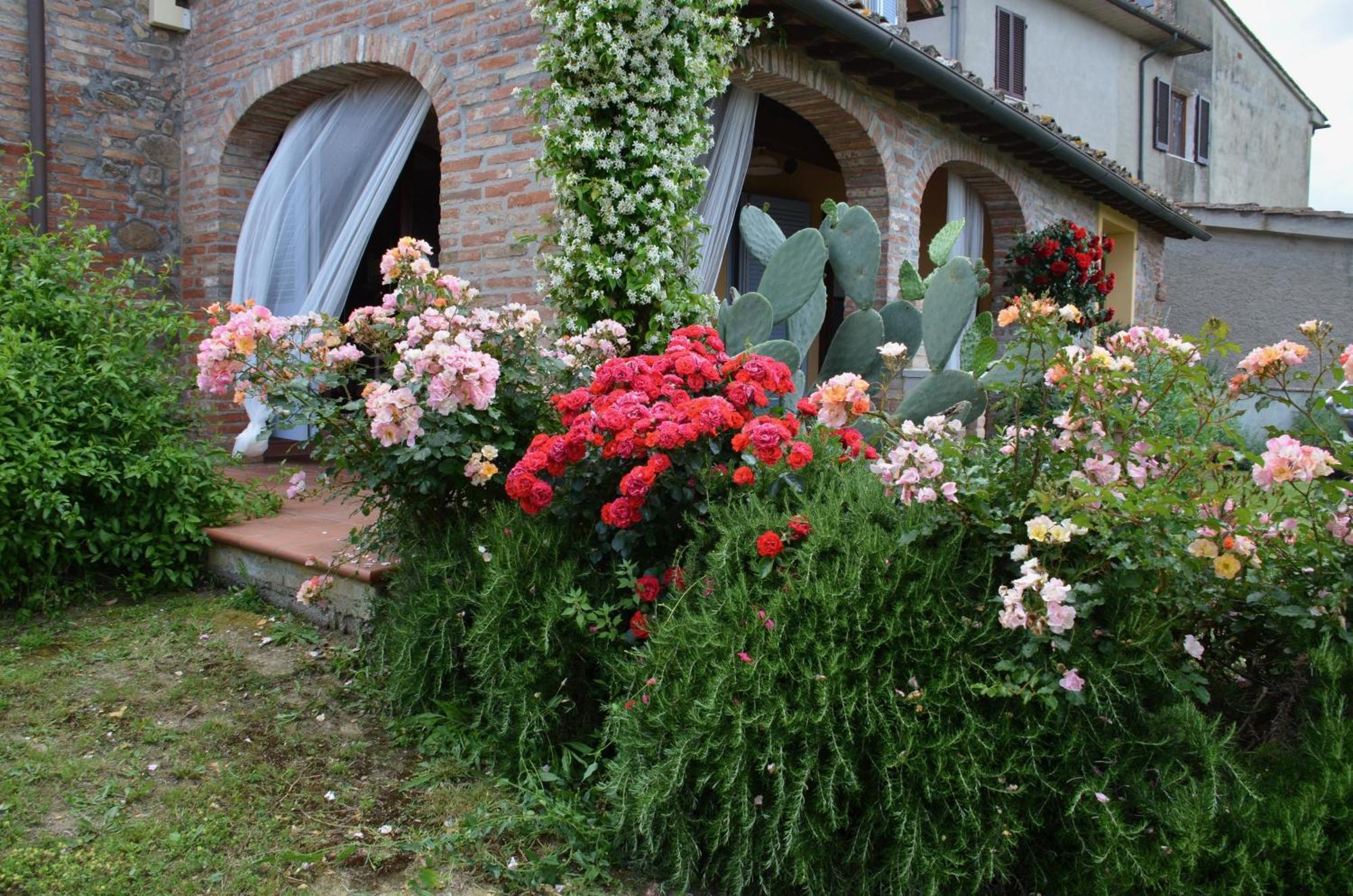 Apartamento Casa Magnolia Terricciola Exterior foto